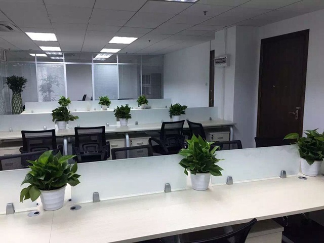 办公室植物租赁